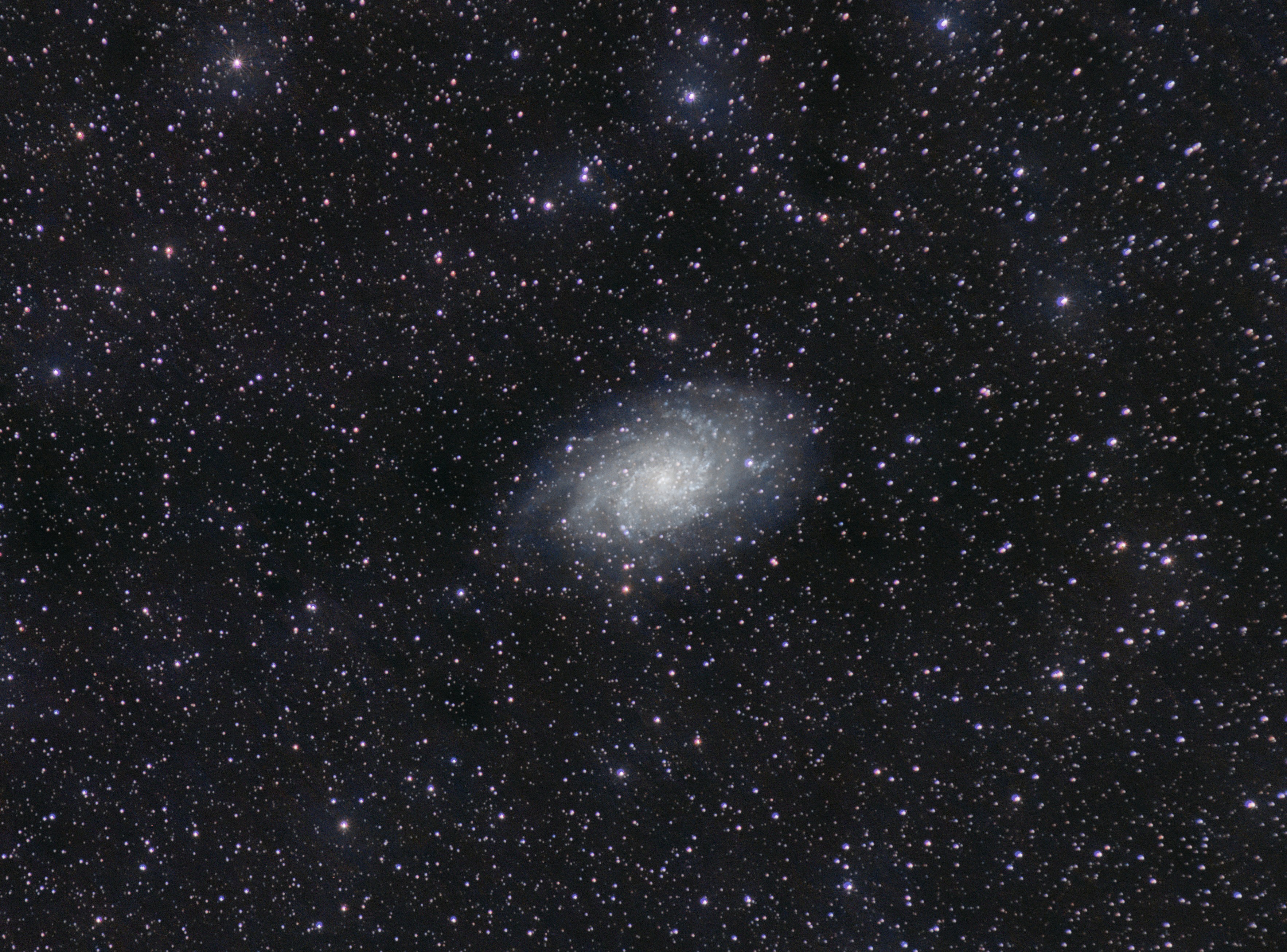Triangulum Galaxy (M33) — 2 Hours in Bortle 1